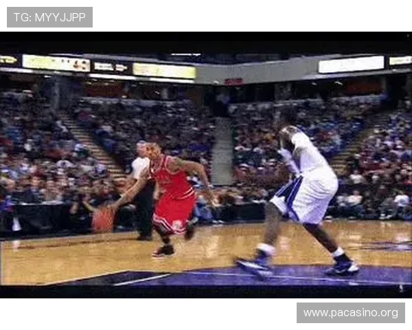 NBA发布新训练营动态 专注提升球员耐力与速度训练成果